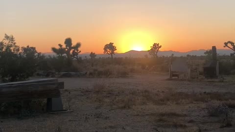 Coyotes Howling minutes before earthquake