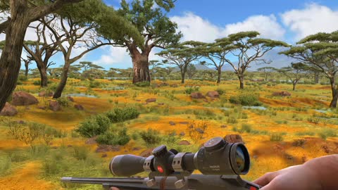 Hunting Clash - Madagascar and Tanzania