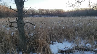 End of day marsh'lands'...