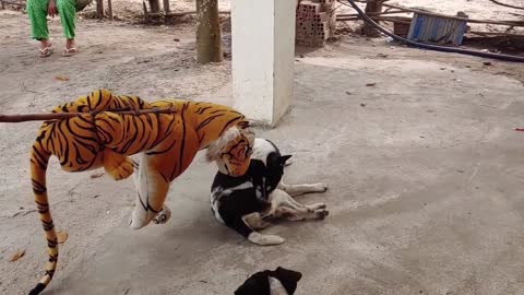 Fake Tiger Prank Dog Very Funy Prank Videos 2021