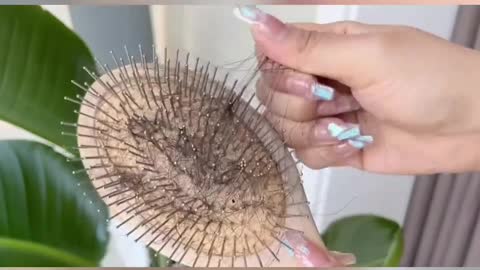 Hair Straightening Brush