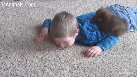 Best Of Cute pomeranian puppies & baby and kids playing together funny Dogs...