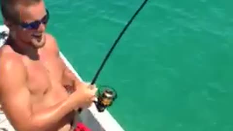 Florida Tarpon trying to avoid getting eaten by sharks