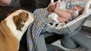 Baby Finds His Legs and Breaks Glider