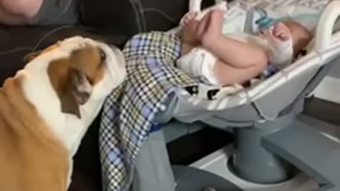 Baby Finds His Legs and Breaks Glider
