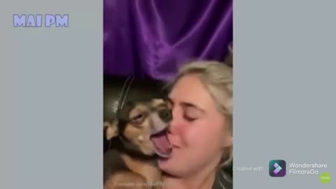 Funny Dog Videos 2020🤣 its time to laugh with dogs life
