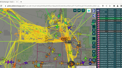 Bird MAfia Utah China Invasion Continues - Jan 10th 2024