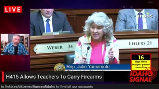 Rep. Julie Yamamoto stuns everyone with her comments on the Teacher Enhanced Carry Bill