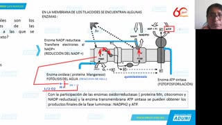 REPASO ADUNI 2021 | Semana 02 | Biología