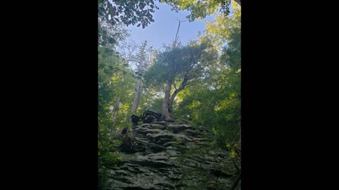 Fall Creek Falls Tennessee