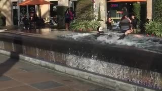 Wetsuit backwards hat guy boogie boards in mall fountain