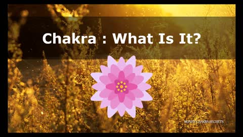 Money Chakra Secrets Upgrade Package ✔️ 100% Free Course ✔️ (Video 1/9: Chakra A Brief Walkthrough)