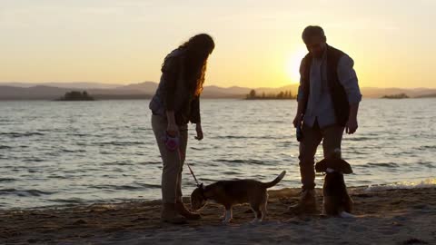 female owners giving treats to their dogs while having walk on lakeshore at sunset in the evening