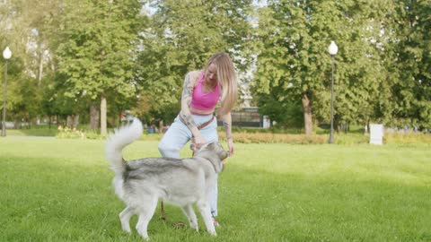 a woman playing with a dog