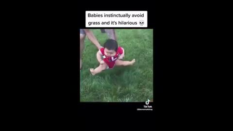 Funny Baby Videos - Funny Videos