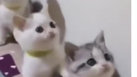 Funny Cats! Try Not To Laugh Or Grin 😂