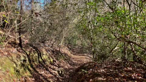 Hurricane Creek Park, Heaven’s Staircase, Twilite Tunnel, & Waterfalls Vinemont, Alabama