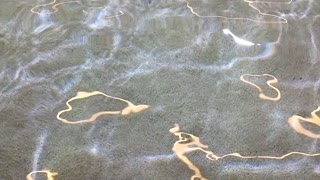 Stingray Bay At The Henry Doorly Zoo