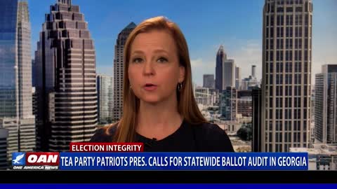 Tea Party Patriots president calls for statewide ballot audit in Ga.