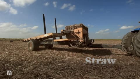 Brazil Harvest Sugar Cane Without Polluting the Air