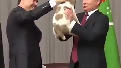 The Behavior to that Pup Bothered Putin