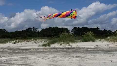 Kites on Beach