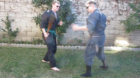 Filipino martial arts/Japanese Karate/Budo crossover. Defense against a stick with an injured arm.