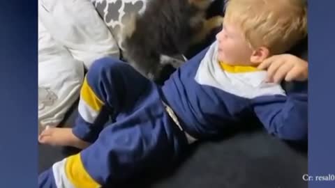 Adorable Puppies fight to babies
