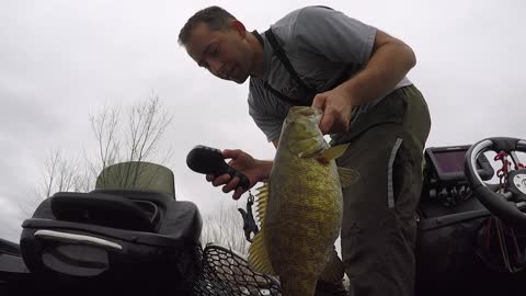GIANT SMALLMOUTH BASS in super cold water!
