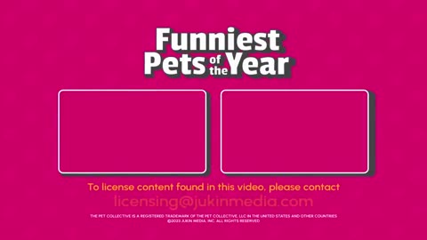 funniest pet video of 2023