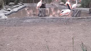 Out at the zoo