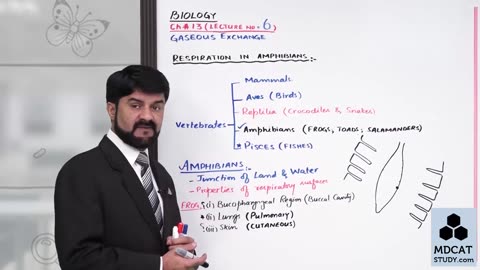 LEC#6 RESPIRATION IN AMPHIBIANS