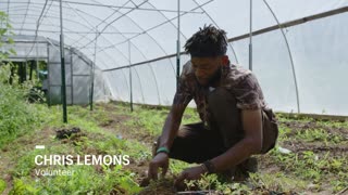 This 5 Acre Farm Produces Enough Food to Feed up to 2,000 Families _ My Shopify Business Story