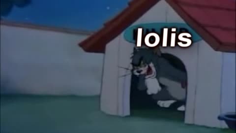 Tom persigue Loli :0