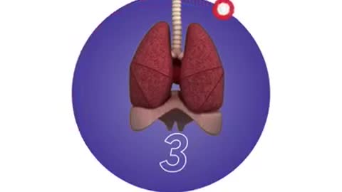 Game for Test your Lungs🤝