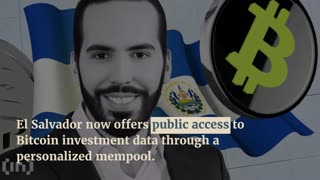 El Salvador Unveils Public Bitcoin Mempool, Showcases Nearly $353 Million Holdings