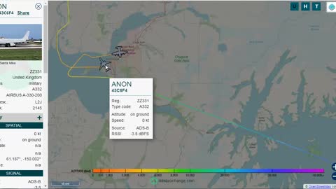 ANON at Anchorage White Bird Update