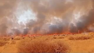 Wildfire leaves six soldiers dead in the Northern Cape