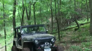 Angry TJ Coming up out of the woods