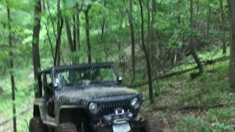 Angry TJ Coming up out of the woods