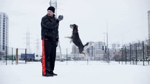 Man playing with dog and throwing ball at winter outdoor