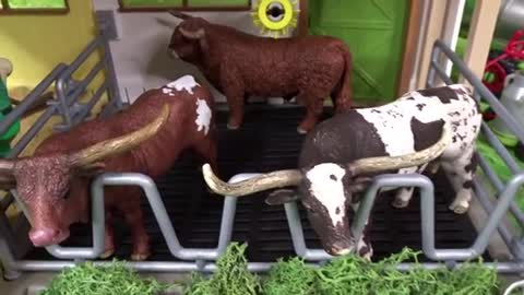 The cattle in the farm- Toros-सांड-Bulls-Vacas-Mucche_Cut.mp4