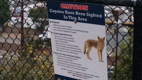 A sign just outside Los Angeles International Airport warns of coyotes in area