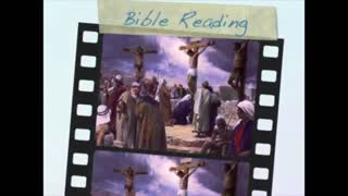 July 28th Bible Readings