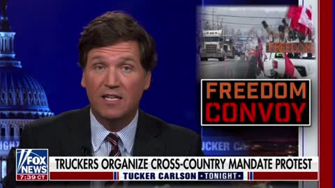 Tucker Carlson reports on the trucker convoy making its way across Canada