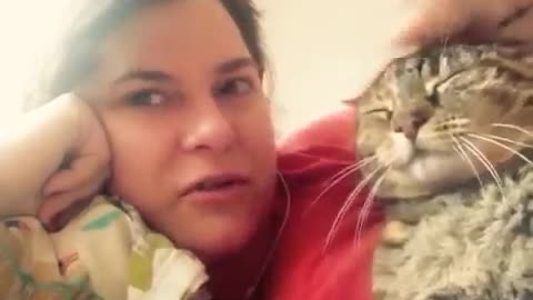 Talking cat says NO! to kisses on the head