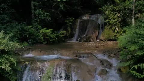 Mountain Rainforest Waterfalls And Crystal Clear Water