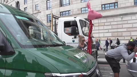 A WOMEN WITH A PINK COWS HEAD TRIED AGREVATE A DRIVER SO HE PUT HIS WINDOW WIPERS AND SPRAY ON