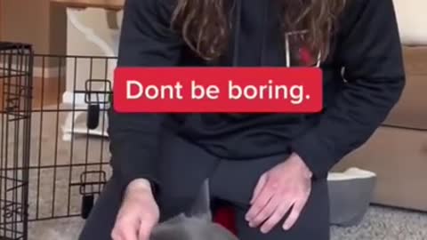 Dog training Buy Now—https://bit.ly/3NaDRLT