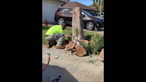 Triple A Tree Care - (808) 207-2015